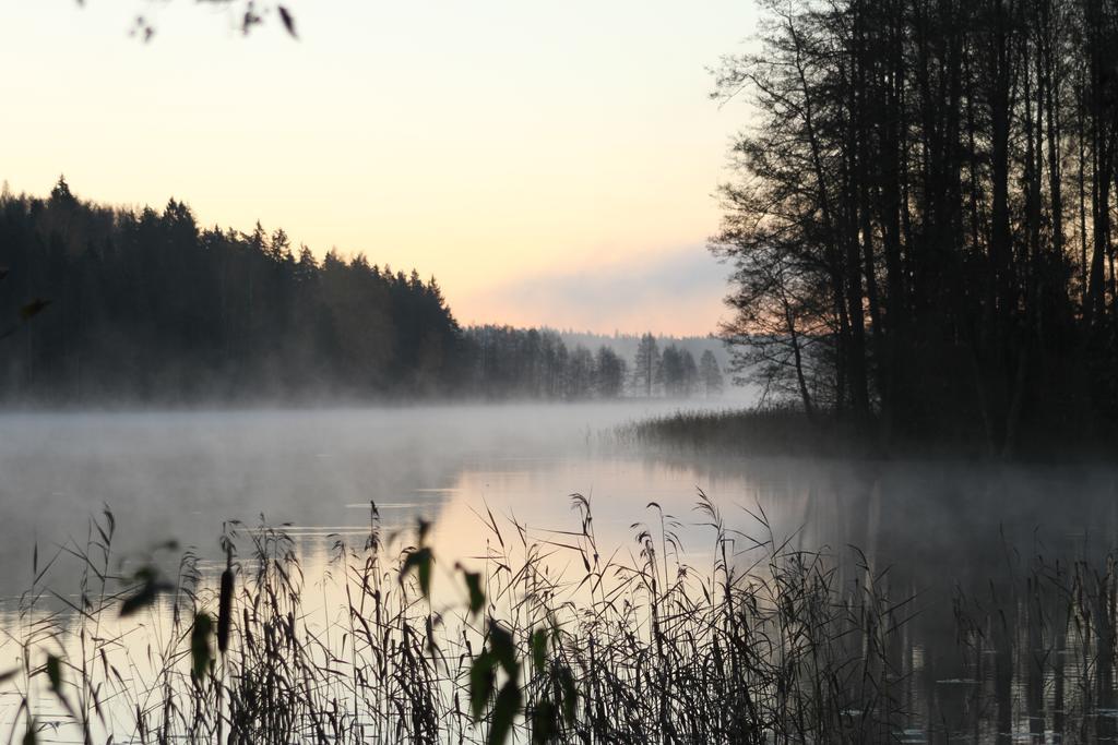 Denderi Villa Rubene Ruang foto