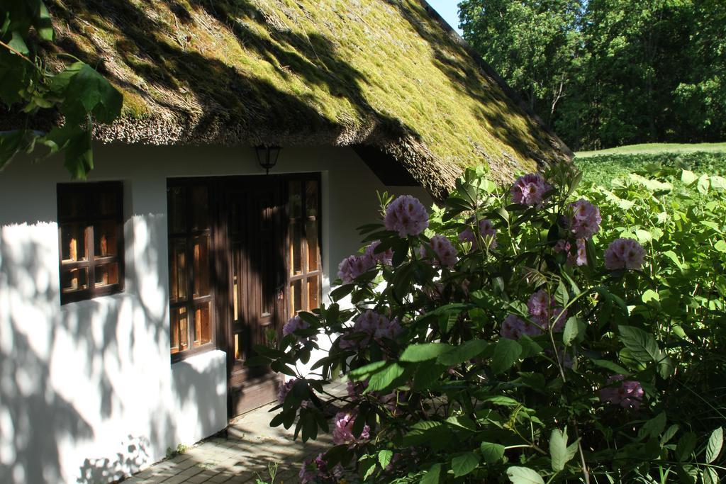 Denderi Villa Rubene Ruang foto