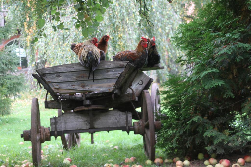 Denderi Villa Rubene Ruang foto